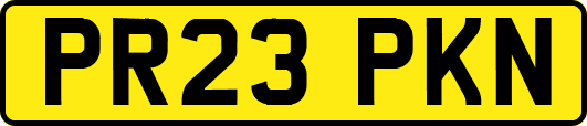PR23PKN