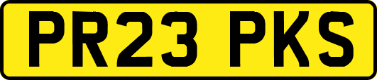 PR23PKS