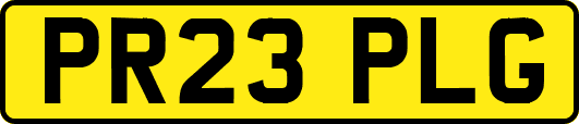 PR23PLG