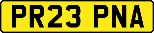 PR23PNA