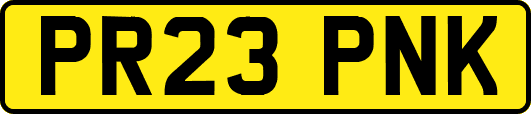 PR23PNK