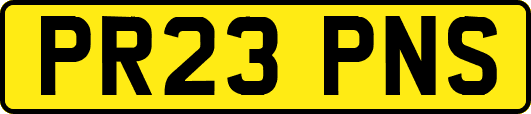 PR23PNS