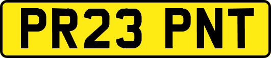 PR23PNT