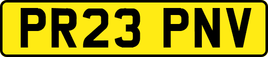 PR23PNV