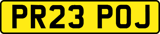 PR23POJ