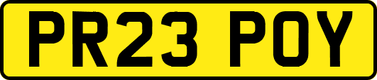 PR23POY