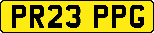 PR23PPG