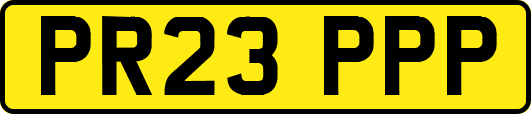 PR23PPP