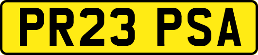 PR23PSA