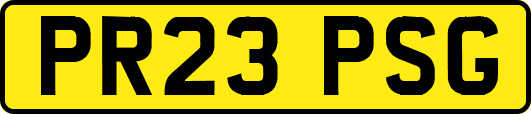 PR23PSG