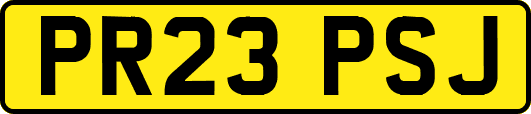 PR23PSJ