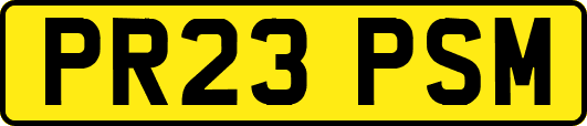 PR23PSM