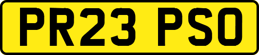PR23PSO