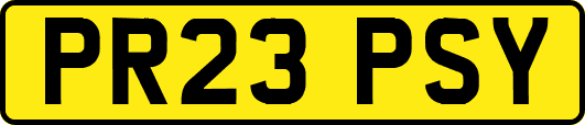 PR23PSY
