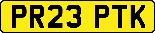PR23PTK