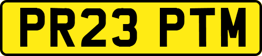PR23PTM