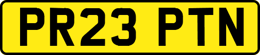 PR23PTN