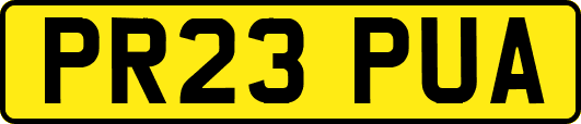 PR23PUA