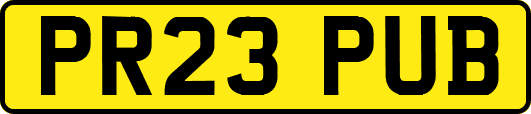 PR23PUB