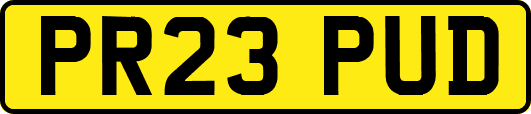 PR23PUD