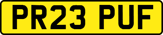 PR23PUF