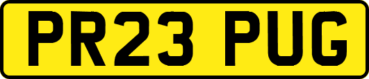 PR23PUG