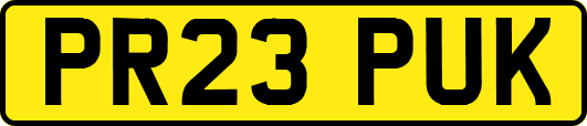 PR23PUK