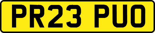 PR23PUO
