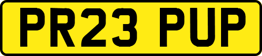 PR23PUP