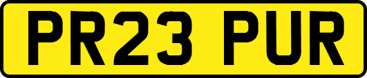 PR23PUR
