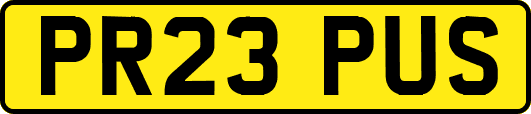 PR23PUS