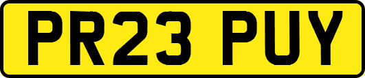 PR23PUY