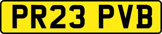 PR23PVB