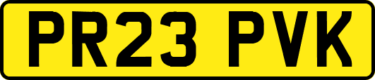 PR23PVK