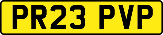 PR23PVP