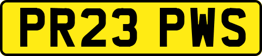 PR23PWS