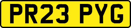 PR23PYG