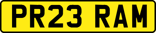 PR23RAM