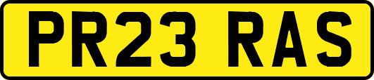 PR23RAS