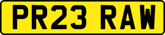 PR23RAW