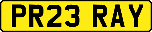 PR23RAY