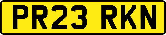 PR23RKN