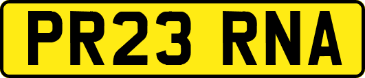 PR23RNA