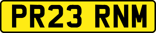 PR23RNM