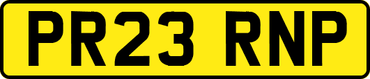 PR23RNP