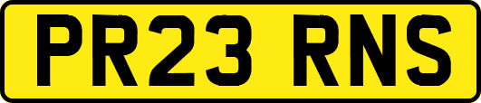 PR23RNS