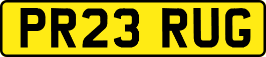 PR23RUG