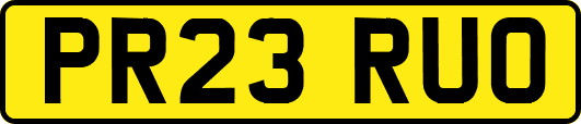 PR23RUO