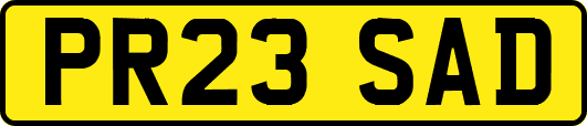 PR23SAD