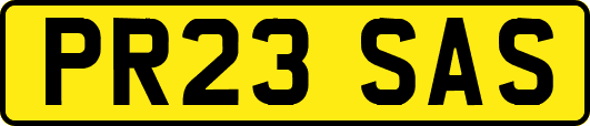PR23SAS